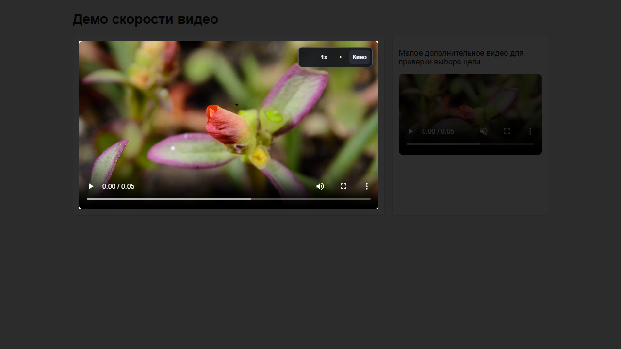 Video Focus Speed затемняет страницу вокруг активного видео